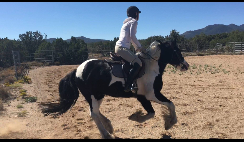 Cantering on the Pony Express